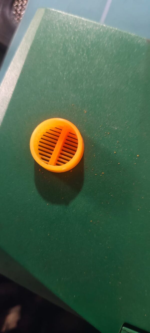 Plastic Went