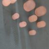 WhatsApp Image 2025-12-15 at 6.07.50 PM (1) Silicone Rubber Push Button