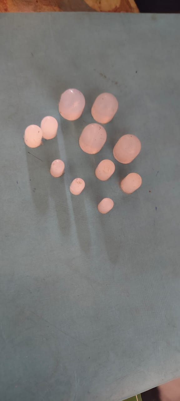 WhatsApp Image 2025-12-15 at 6.07.50 PM Silicone Rubber Push Button