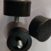 WhatsApp Image 2025-12-21 at 1.07.34 PM Leg Mount Bush